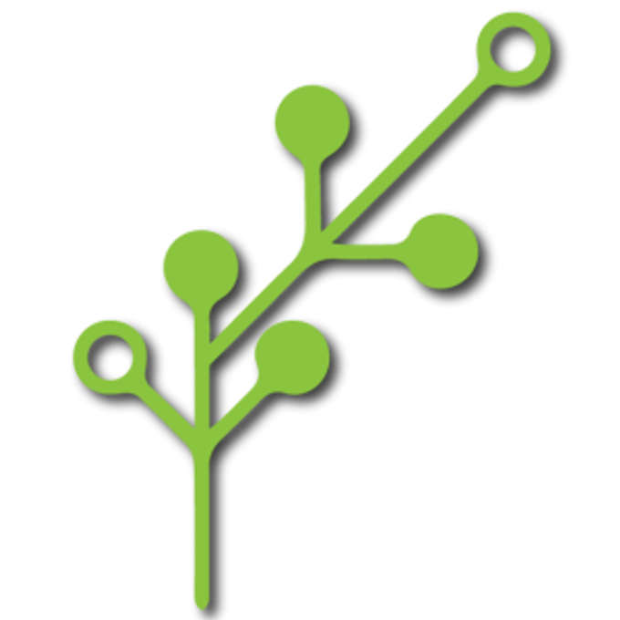 Element Asia Capital