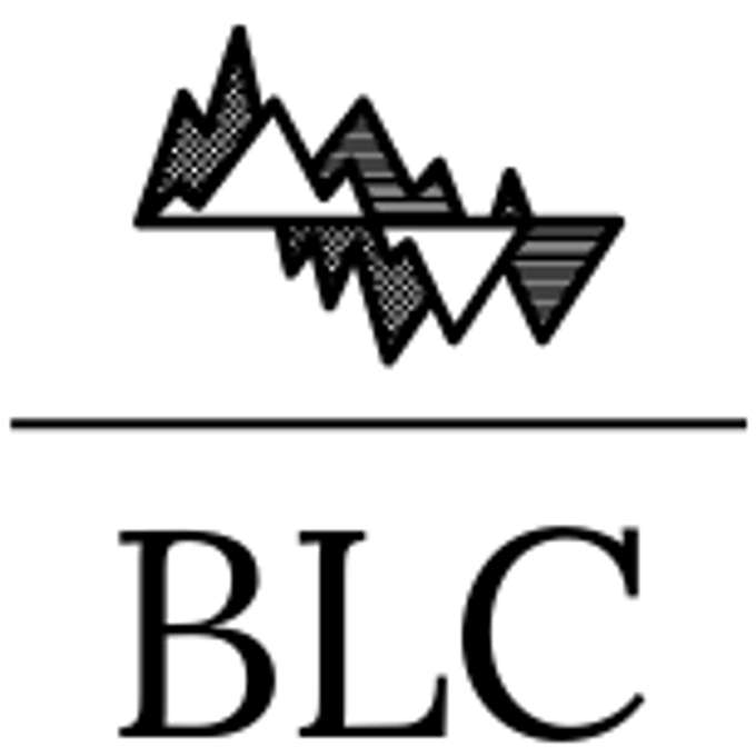 BLC Group