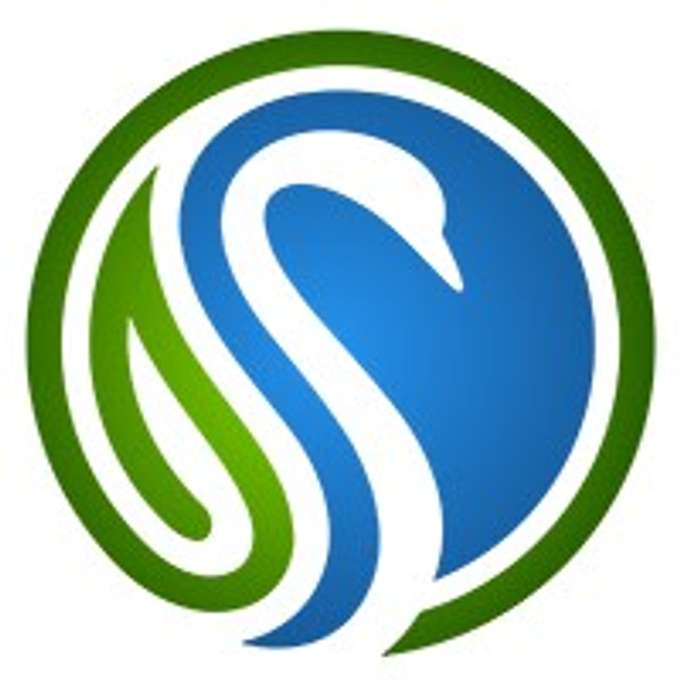 Green Swan Partners