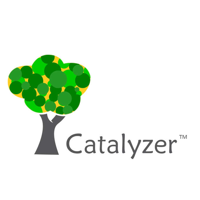 Catalyzer Startup Accelerator