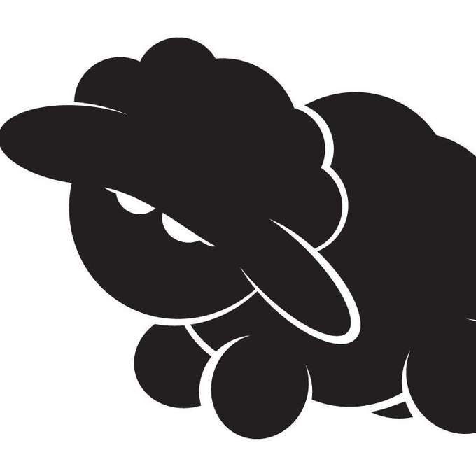 Black Sheep Capital