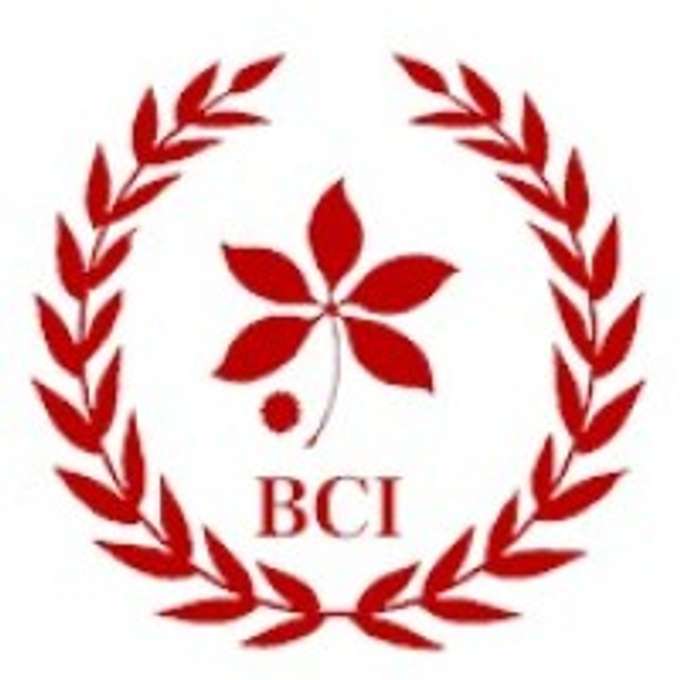 Buckeye Capital Investors