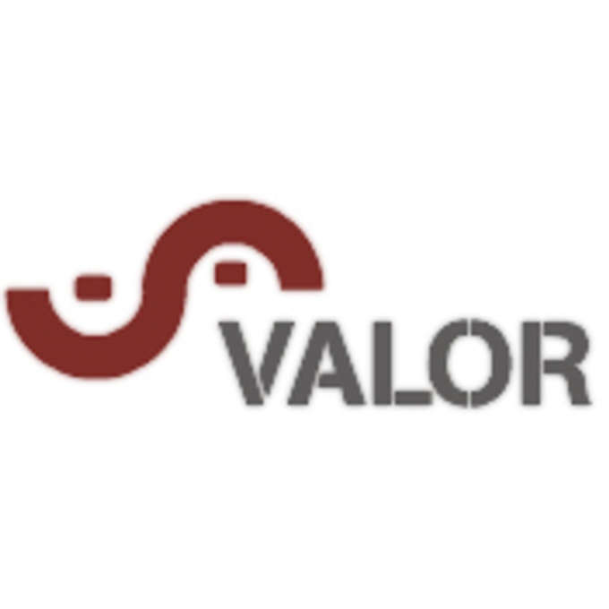 Valor Management