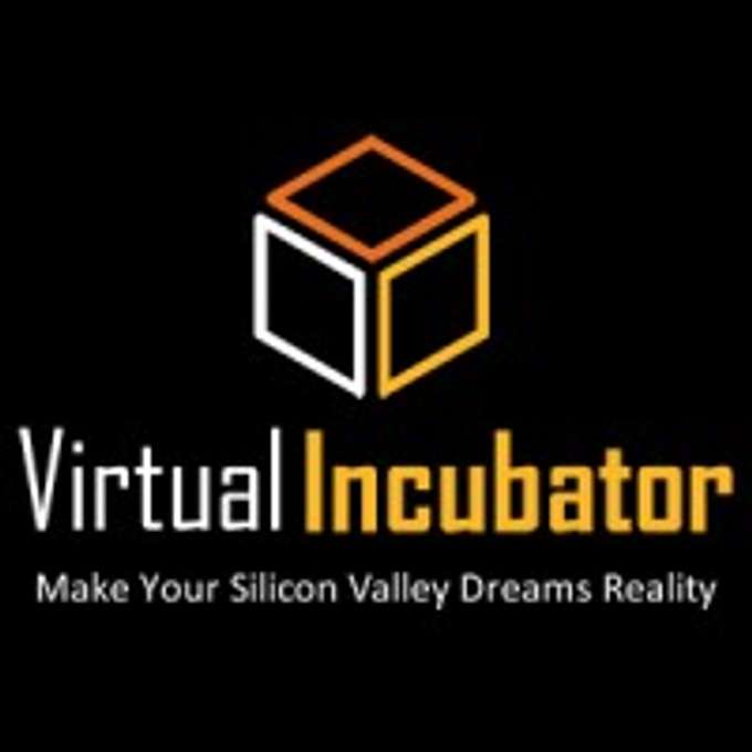 Virtual Incubator USA