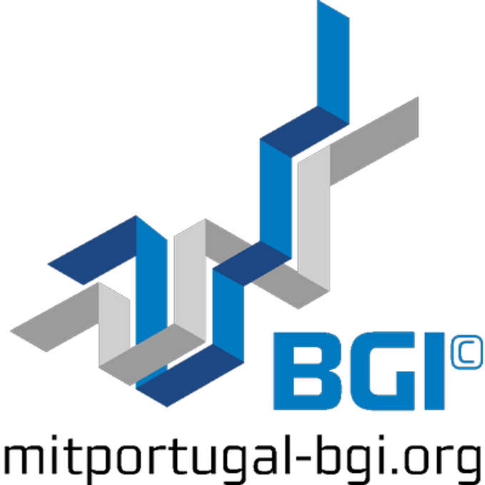 MIT Portugal IEI