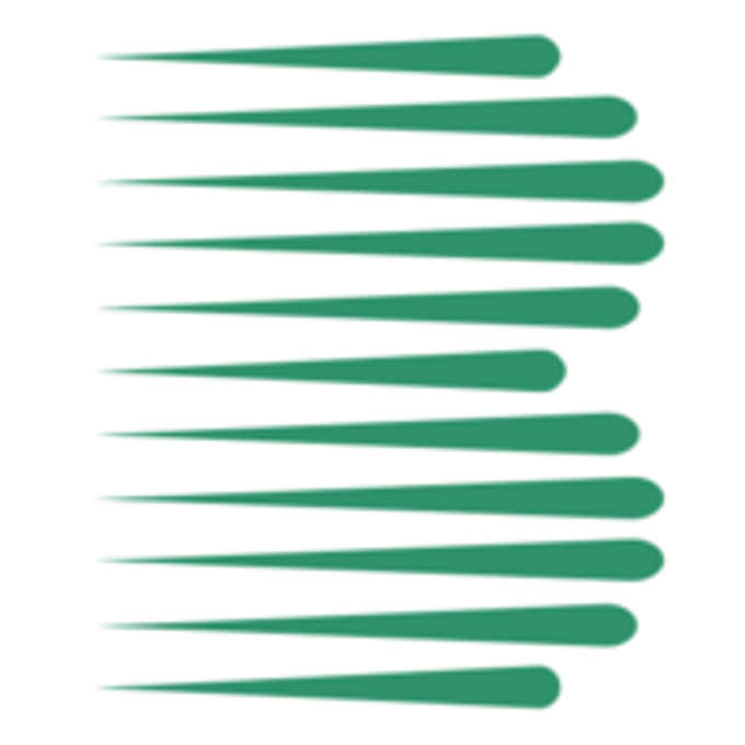 Bulkley Capital