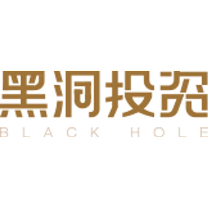 Black Hole Capital