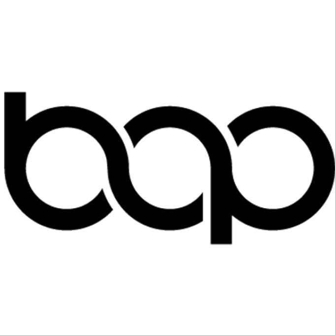 Bridge Alliance Partners