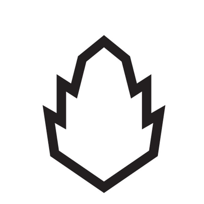 Pinecone