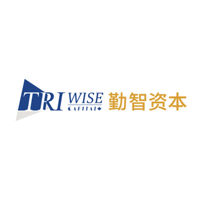 TriWise Capital