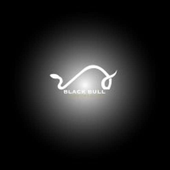 Black Bull Investors Club