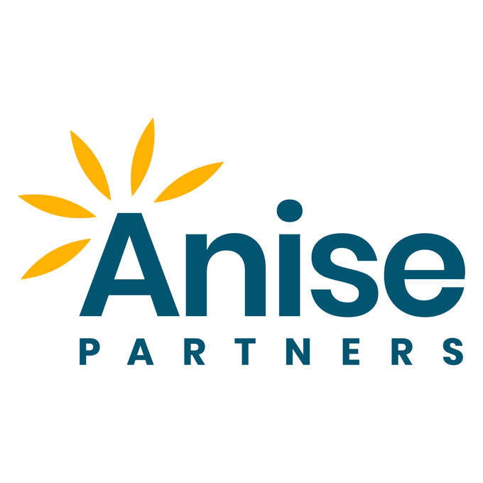Anise Partners LLC