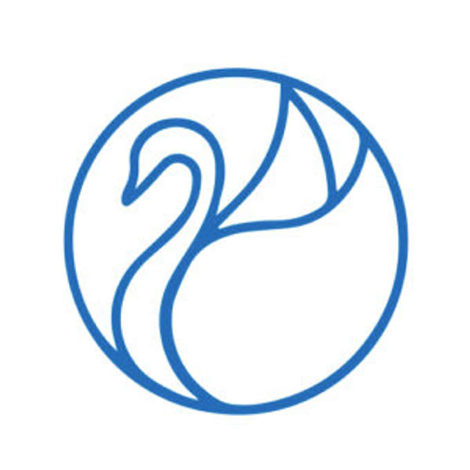 Blue Swan Capital