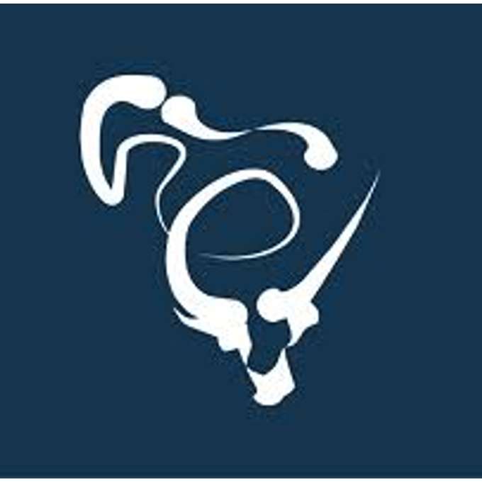 Evolutia Capital