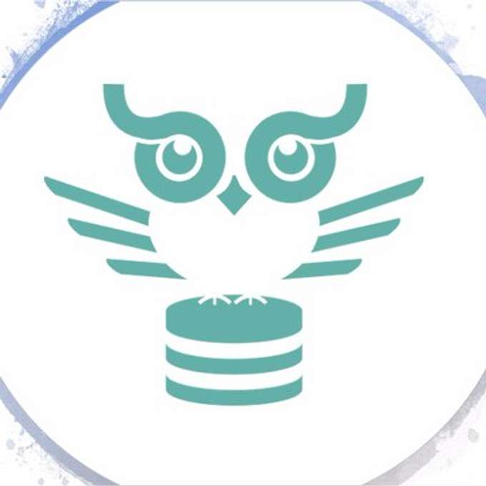 Startups Observer