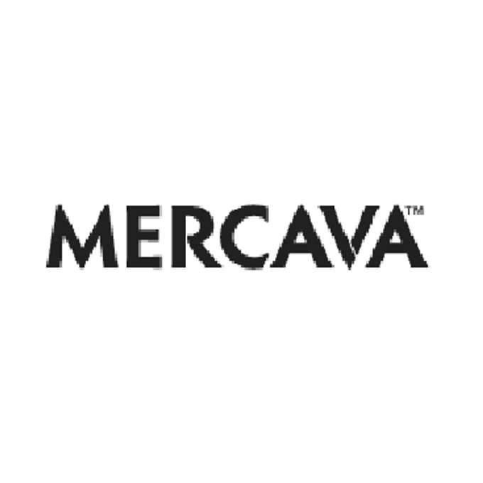 Mercava Inc.