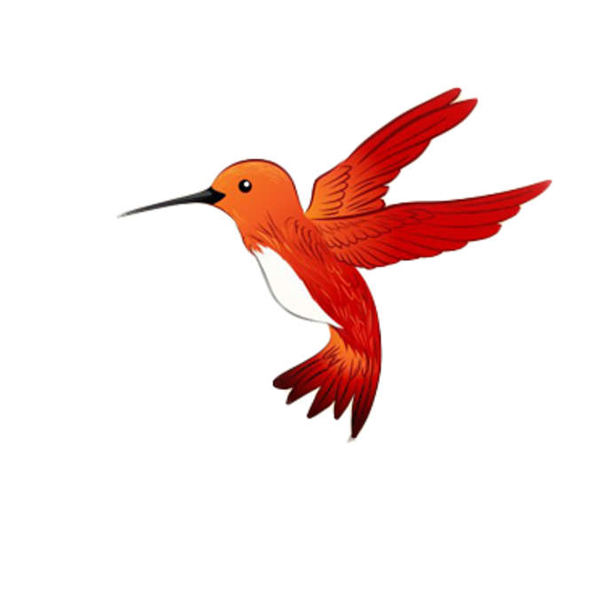 Hummingbird Ventures