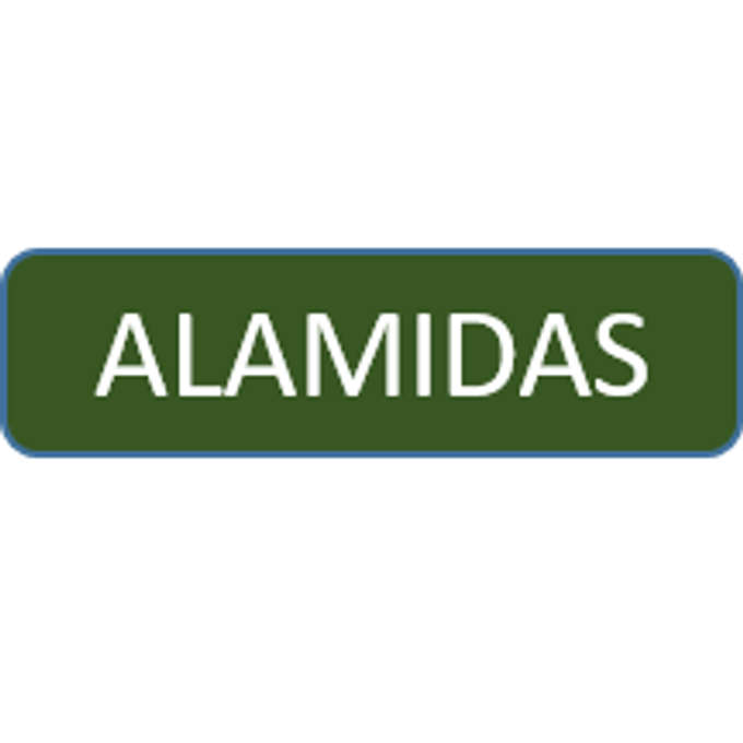 ALAMidas Capital Partners