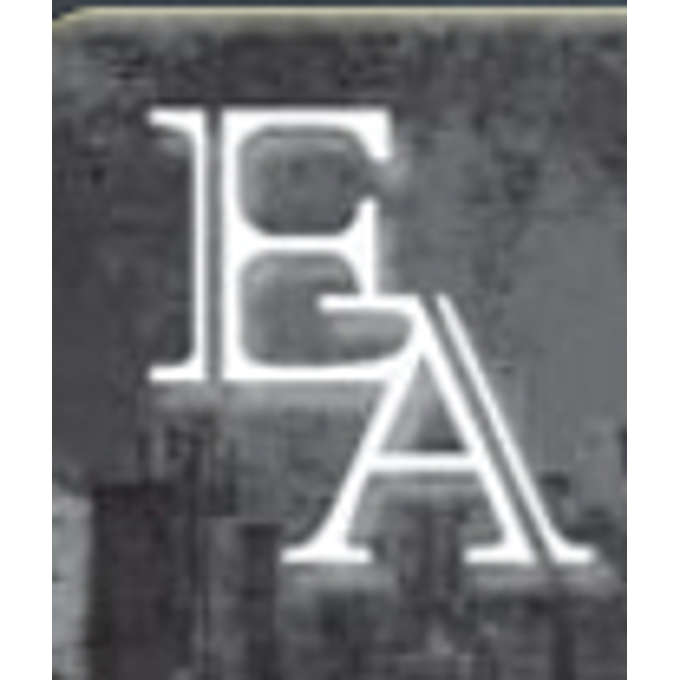 Equity Alliance International