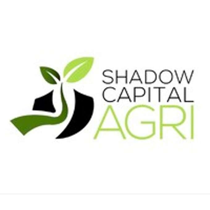 Shadow Capital