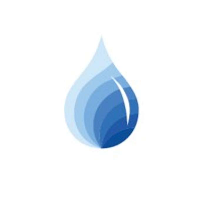 BCF Partners Capital