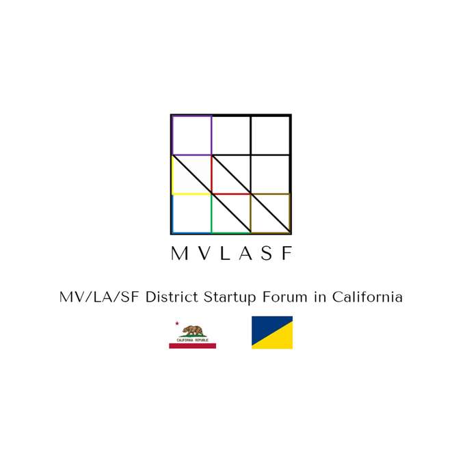 MVLASF HOLDINGS INC