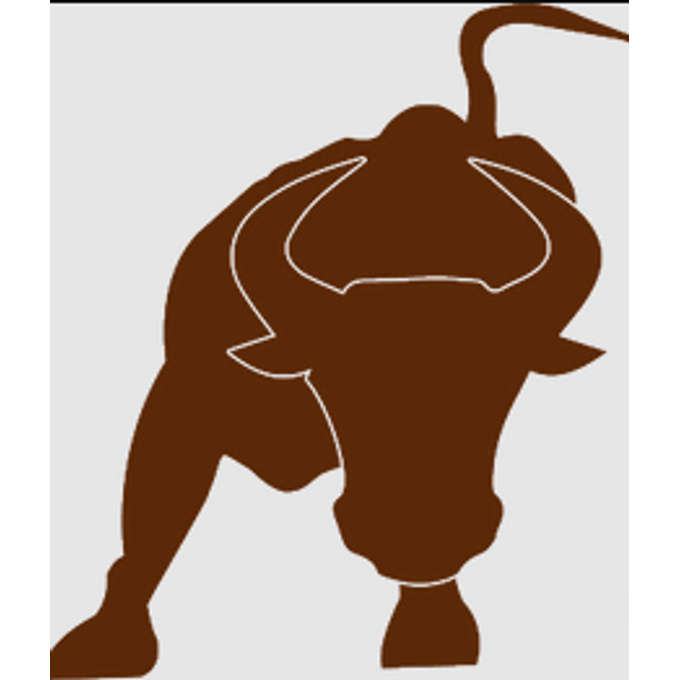BAI Capital