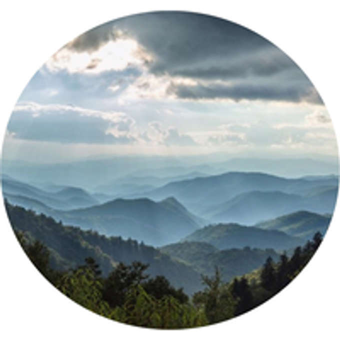 Elysian Ventures
