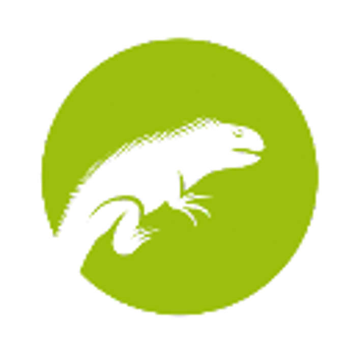 Iguana Investments