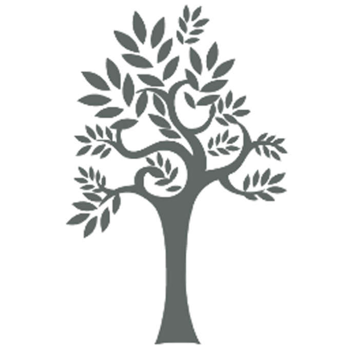 Silvertree Internet Holdings