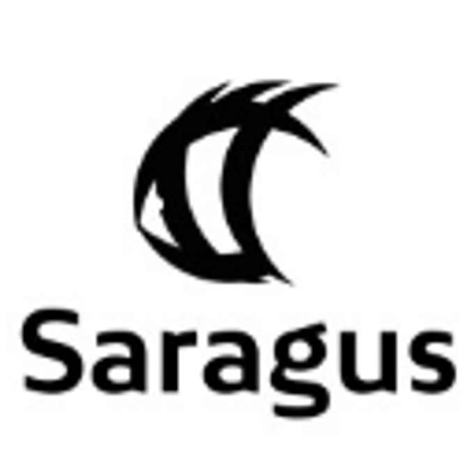 Saragus Partners