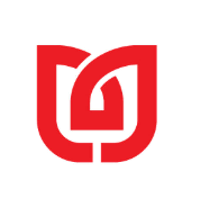 Digital United