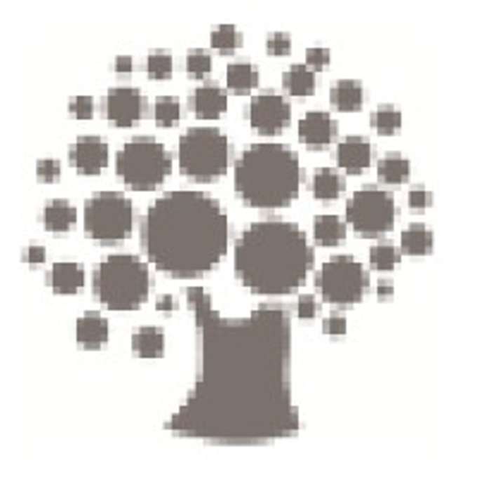 ELBE PARTNERS