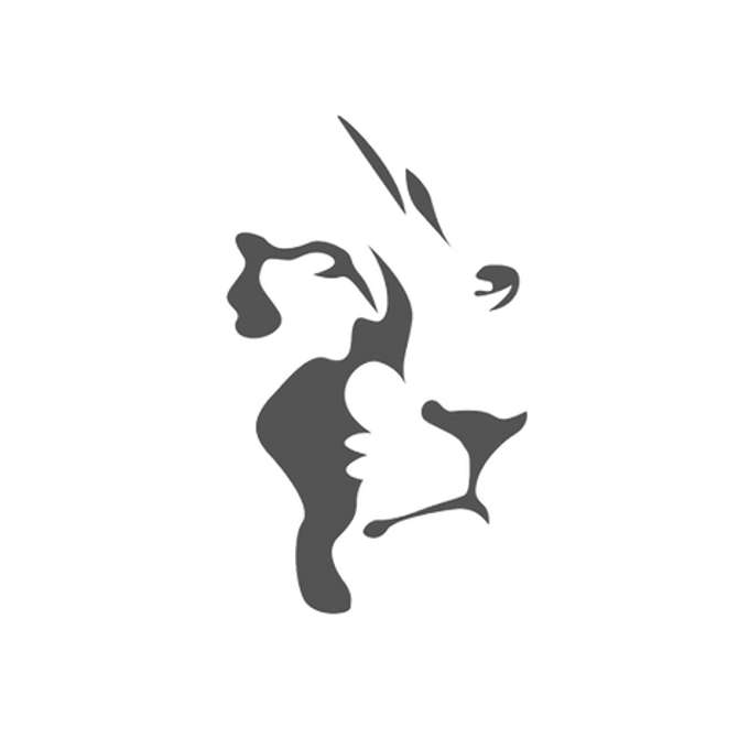 Gray Lion Capital