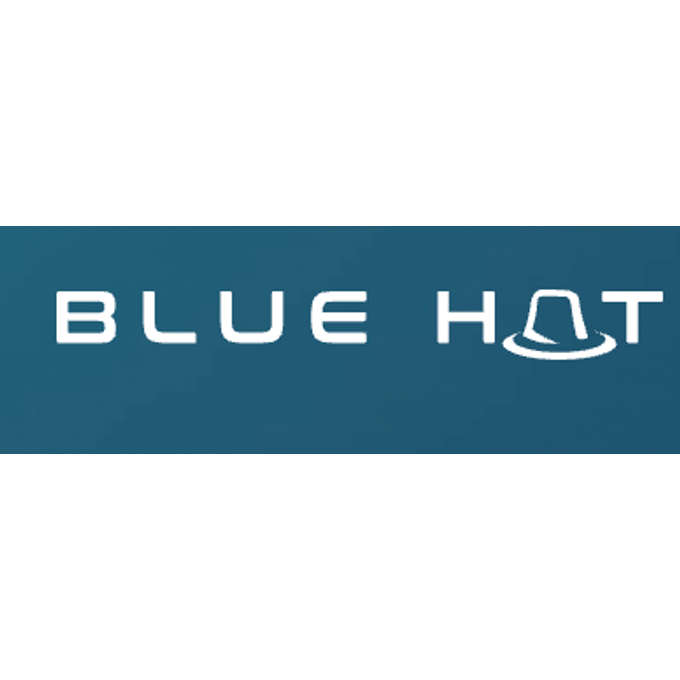 Blue Hat Investments