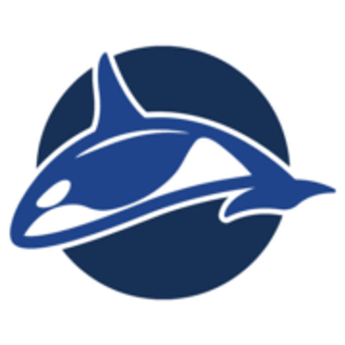 Blue Orca Capital