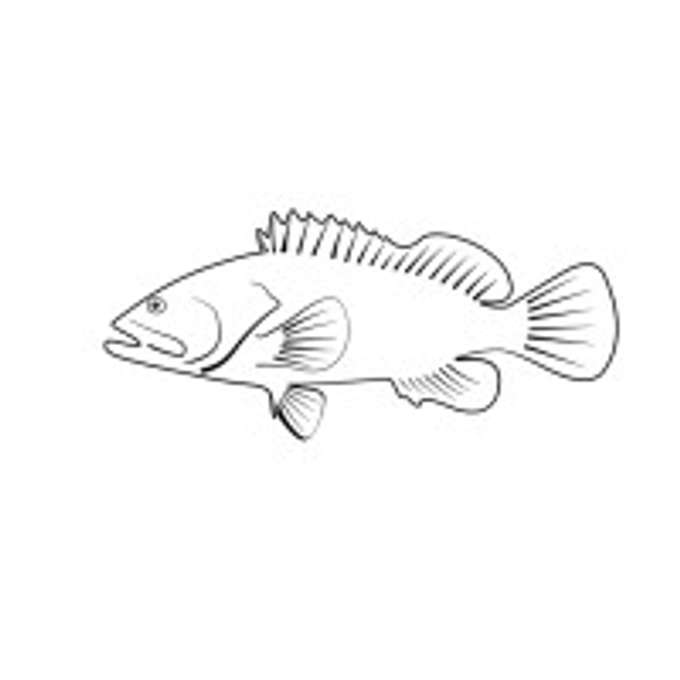 Grouper Companies