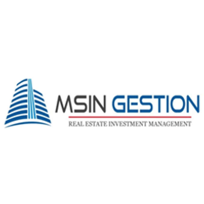 MSIN GESTION