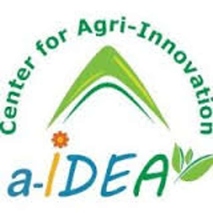 a-IDEA