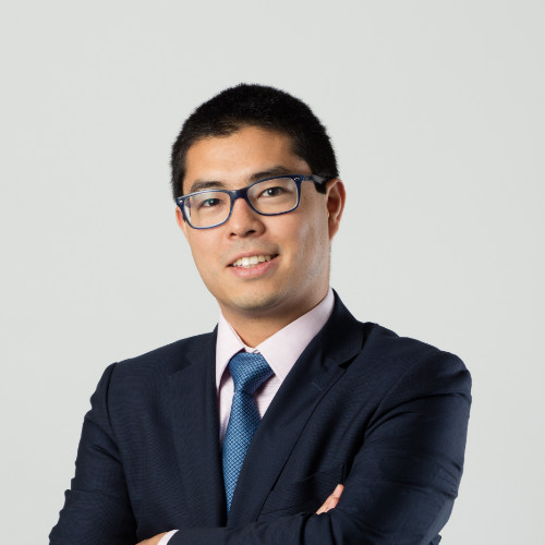 Luiz Arakaki