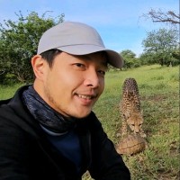 Rob Liu 🐸