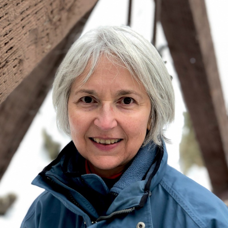 Susan Comstock