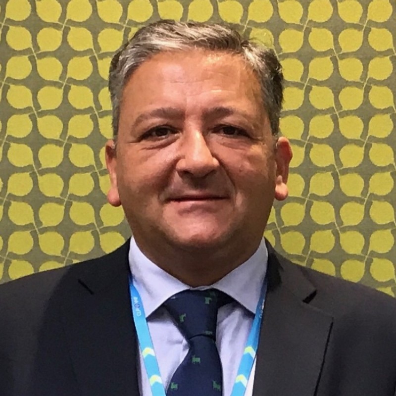Vidal Fernández