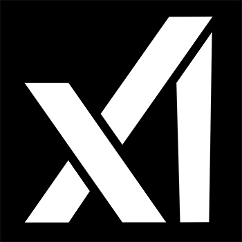 xAI (via partner)