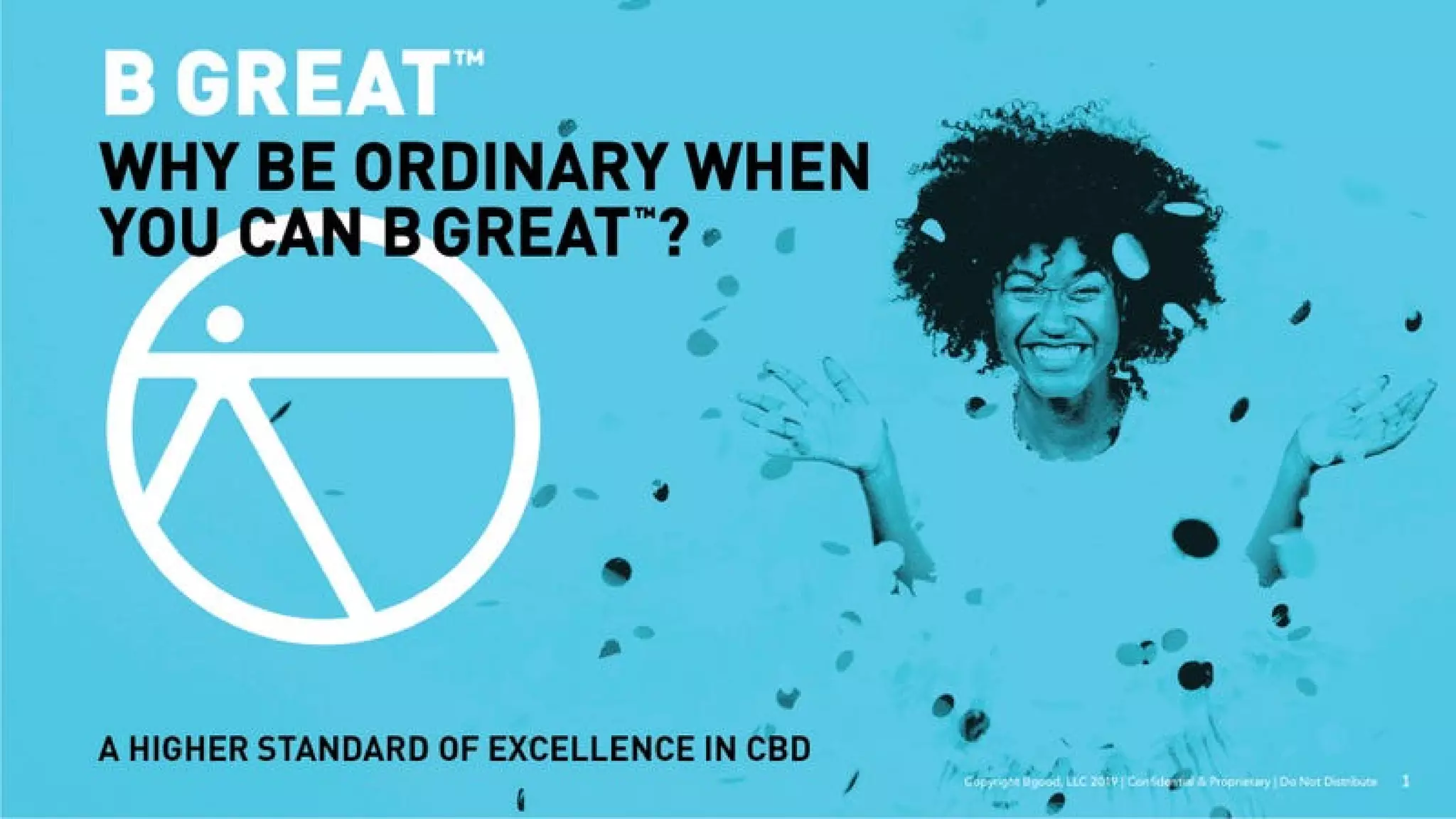 B Great pitch deck slide 1