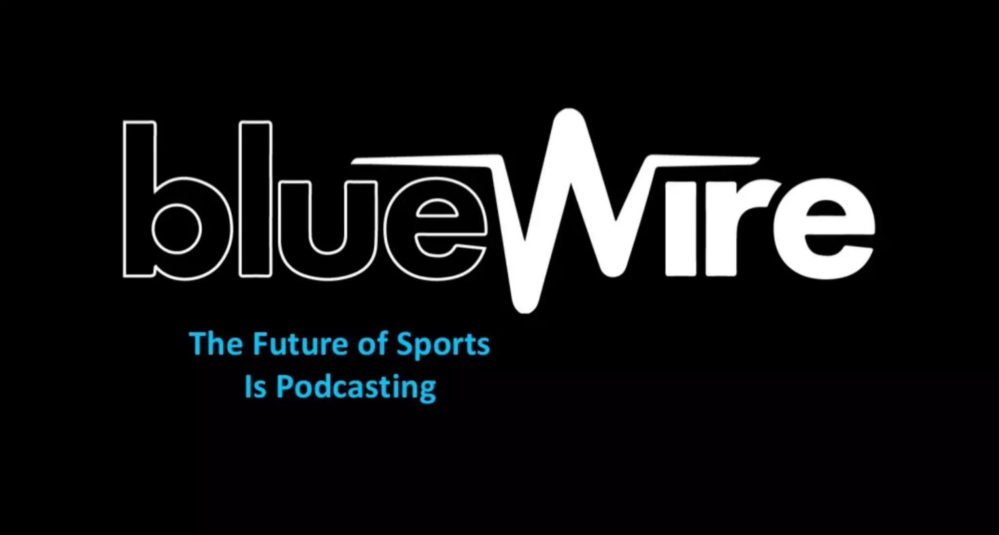 Blue Wire pitch deck slide 1