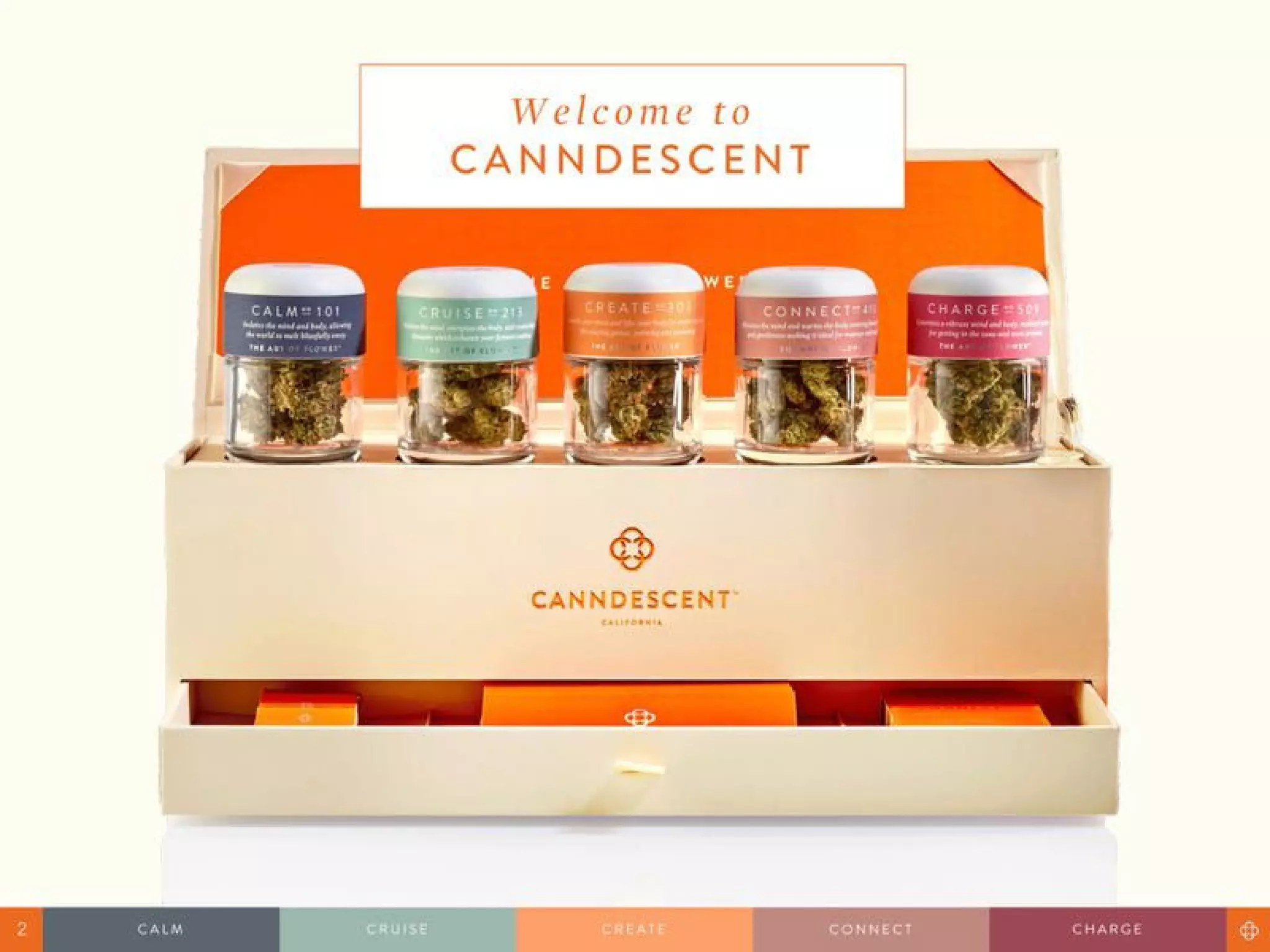 Canndescent pitch deck slide 2