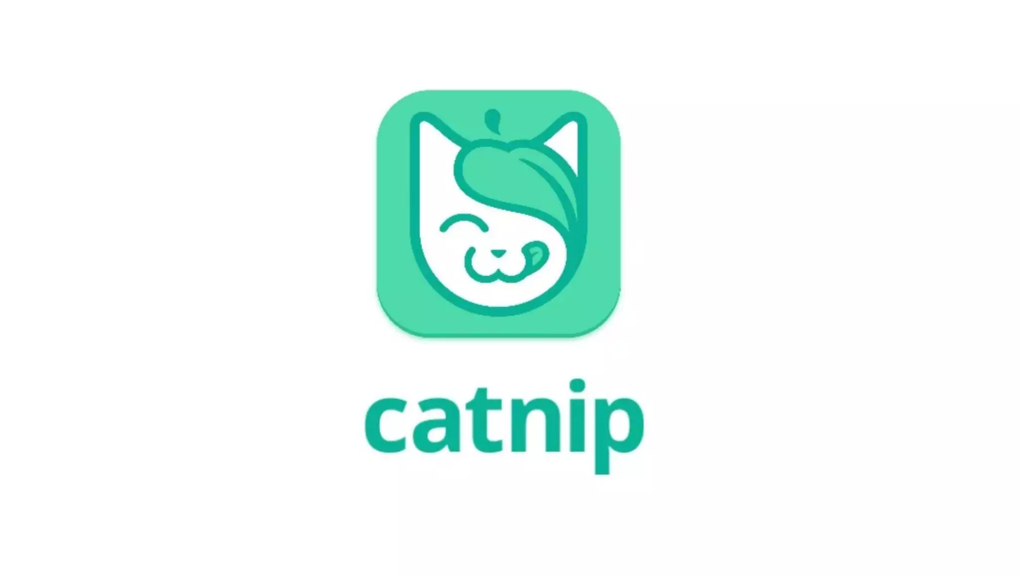 Catnip pitch deck slide 1