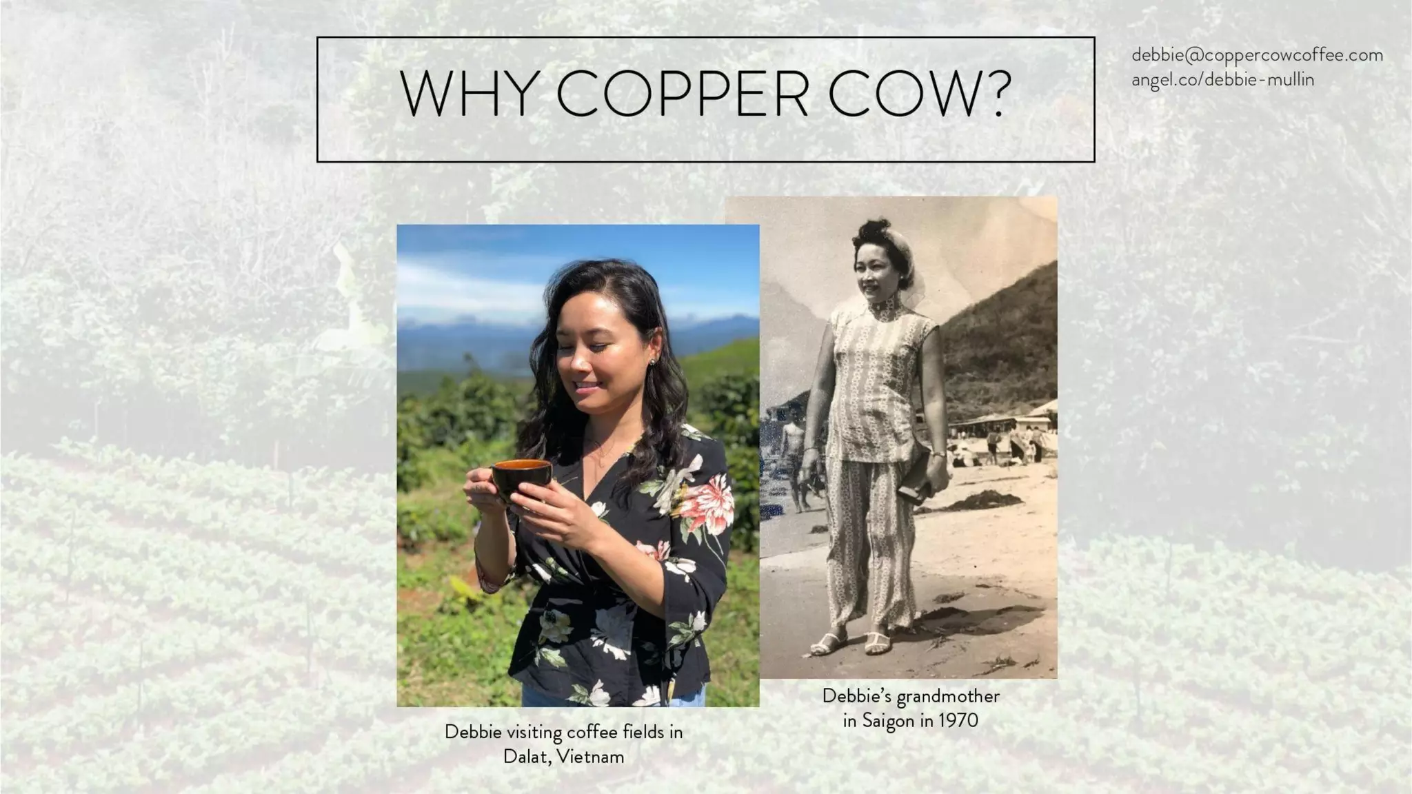 Copper Cow pitch deck slide 2
