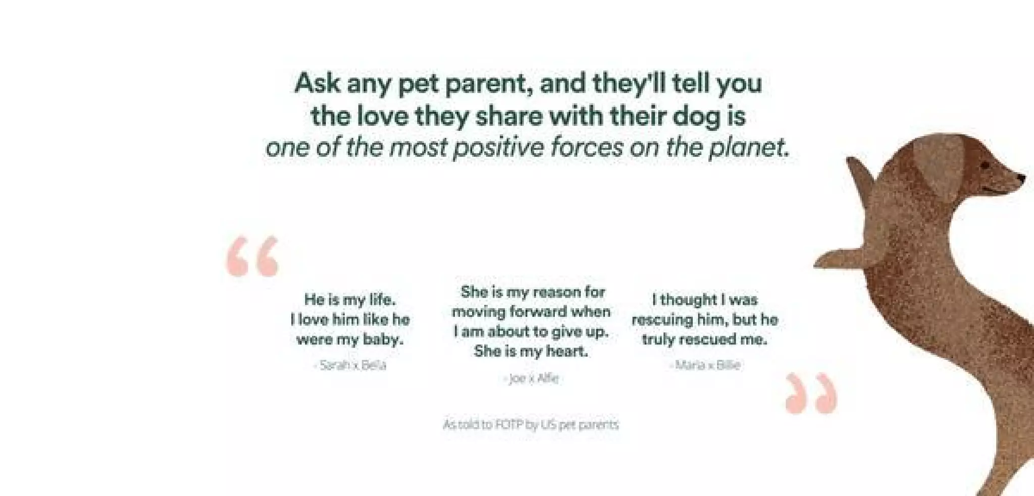Front Of The Pack pitch deck slide 2